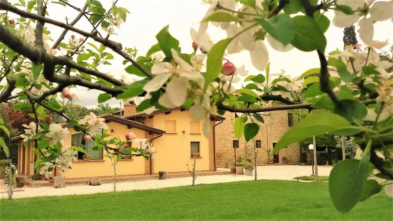 Agriturismo Il Podere Petrignano Exterior photo