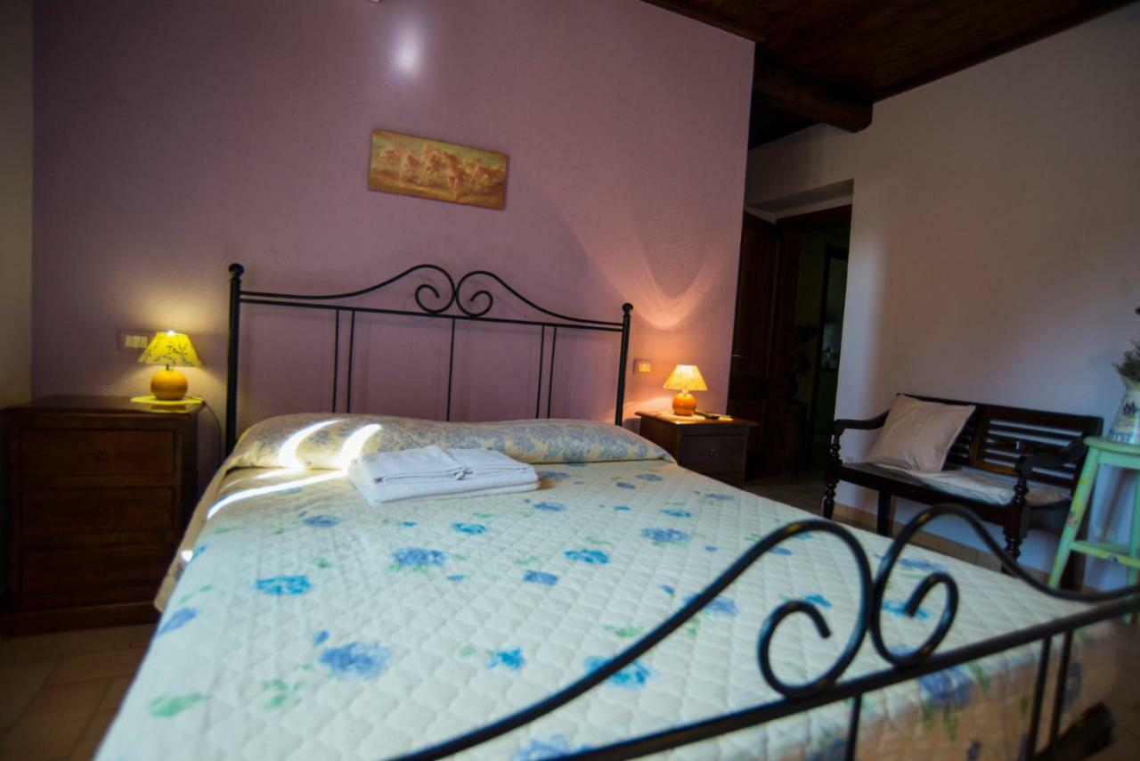 Agriturismo Il Podere Petrignano Exterior photo